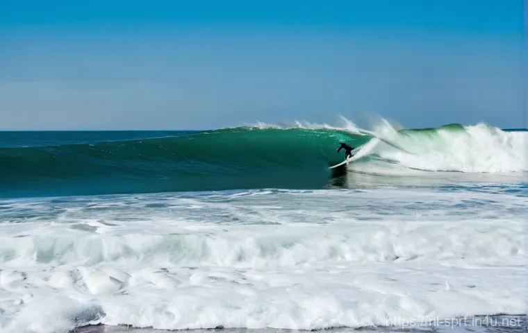 서핑보드 종류와 선택법 - **Prompt 1: First Ride on a Softtop in Zeeland**
    "A young, enthusiastic beginner surfer, in thei...